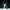 SOMEBODY LOVES ME cover