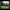 https://res.cloudinary.com/billionhands/image/upload/v1780643362/items/lv8mi2idglhdnxhykqbj.jpg-3cover