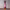 https://res.cloudinary.com/billionhands/image/upload/v1780644884/items/lpz2xbccsckonahrmznj.webp-3cover