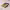 https://res.cloudinary.com/billionhands/image/upload/v1780645420/items/zesl0nkz9cvuxj1zovxk.webp-3cover