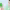 https://res.cloudinary.com/billionhands/image/upload/v1780645508/items/fig4jswxv2txdlsb2k4d.jpg-2cover