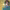 https://res.cloudinary.com/billionhands/image/upload/v1780645512/items/yrmp4lwk5zmgfgmyfaro.webp-3cover