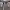 https://res.cloudinary.com/billionhands/image/upload/v1780645685/items/jzjbgi21lxrf7wfpq2qc.jpg-2cover