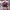 https://res.cloudinary.com/billionhands/image/upload/v1780645845/items/lfw0nalyhwthnfatrhww.webp-0cover