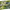 https://res.cloudinary.com/billionhands/image/upload/v1780645903/items/qfp2diwbsfwa1jd9jwel.png-0cover