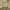 https://res.cloudinary.com/billionhands/image/upload/v1780646344/items/agtzymlitvxx9xtw7wp0.webp-1cover