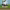 https://res.cloudinary.com/billionhands/image/upload/v1780647783/items/b6b5hffmpzmnvsr7hcub.avif-3cover