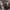https://res.cloudinary.com/billionhands/image/upload/v1780649129/items/ea983wf8pncar9jkkata.jpg-0cover