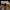 https://res.cloudinary.com/billionhands/image/upload/v1780650746/items/sbgnjnxzoaduyxhynxdq.webp-0cover