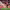 https://res.cloudinary.com/billionhands/image/upload/v1780651900/items/oqi3utvdmbgkdmd9bujz.jpg-3cover