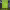 https://res.cloudinary.com/billionhands/image/upload/v1780652257/items/uqj2zfa4ci7fexq0dn5p.jpg-1cover