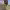 https://res.cloudinary.com/billionhands/image/upload/v1780652783/items/anjlyllz0y4y7fpkz9wu.webp-2cover