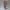 https://res.cloudinary.com/billionhands/image/upload/v1780653189/items/sgrlxutfhswvggtl17ay.jpg-1cover