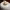 https://res.cloudinary.com/billionhands/image/upload/v1780653297/items/tedlwhnpddgluh0x7pzn.jpg-1cover