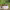 https://res.cloudinary.com/billionhands/image/upload/v1780653664/items/hhpive6ewtzijbbtcnzs.jpg-1cover