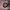 https://res.cloudinary.com/billionhands/image/upload/v1780653710/items/aetbdqm7n89efzsvgz2q.webp-3cover