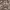 https://res.cloudinary.com/billionhands/image/upload/v1780653889/items/tqzmyz6j3uown2uko9bv.jpg-3cover