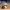https://res.cloudinary.com/billionhands/image/upload/v1780653893/items/qcqoe65t4vgbrmhs1pui.webp-0cover