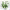 https://res.cloudinary.com/billionhands/image/upload/v1780653917/items/ygzcfhkosds8teeswfwl.webp-0cover