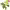https://res.cloudinary.com/billionhands/image/upload/v1780653928/items/eogf3rtozdghpxnghywq.webp-2cover