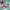 https://res.cloudinary.com/billionhands/image/upload/v1780653937/items/ybbj3bvmhhwcb4svhpvk.jpg-3cover
