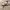 https://res.cloudinary.com/billionhands/image/upload/v1780655895/items/xnsohrkhmtjxfo7qkmuy.webp-2cover
