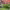https://res.cloudinary.com/billionhands/image/upload/v1780656213/items/pshexfwt9a7vkfmo1umb.jpg-1cover