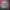 https://res.cloudinary.com/billionhands/image/upload/v1780656213/items/wuikirwwbygq324wudp0.webp-3cover