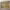 https://res.cloudinary.com/billionhands/image/upload/v1780656459/items/kpxplppusfwmrodbxrx7.jpg-3cover