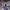 https://res.cloudinary.com/billionhands/image/upload/v1780656638/items/mukfbnuhuiibtt2dp9m4.png-2cover