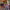 https://res.cloudinary.com/billionhands/image/upload/v1780657042/items/gpvjulxcftg2lzo82y6n.jpg-2cover