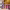 https://res.cloudinary.com/billionhands/image/upload/v1780657197/items/y6vwlkzhsdkzg73gutxz.webp-2cover
