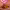 https://res.cloudinary.com/billionhands/image/upload/v1780657392/items/p4cp8jzkkiowfs45k3re.jpg-3cover