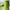 https://res.cloudinary.com/billionhands/image/upload/v1780659537/items/ybbkoiaw6xgkcghchyw0.jpg-2cover