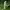 https://res.cloudinary.com/billionhands/image/upload/v1780659558/items/dxqntjvb9mmeacdv6qrr.jpg-1cover
