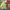 https://res.cloudinary.com/billionhands/image/upload/v1780659802/items/msyrxbxq9m09qcoayhjy.png-3cover