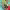 https://res.cloudinary.com/billionhands/image/upload/v1780659806/items/qhfwqa0vfpfcmdsravhm.webp-2cover