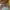 https://res.cloudinary.com/billionhands/image/upload/v1780660127/items/hckxkjfbmmpbxkciz1ln.jpg-0cover