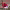 https://res.cloudinary.com/billionhands/image/upload/v1780660607/items/ccvvowplkukddxvmbkvf.jpg-3cover