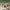 https://res.cloudinary.com/billionhands/image/upload/v1780660828/items/bzcj7jwi3h35oluax6wf.webp-3cover