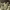 https://res.cloudinary.com/billionhands/image/upload/v1780660962/items/ionj3trpvasneybx1dm6.webp-2cover