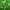https://res.cloudinary.com/billionhands/image/upload/v1780661097/items/chfyspqrrrmzecl6rdjj.avif-2cover