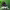 https://res.cloudinary.com/billionhands/image/upload/v1780661196/items/haslf61wgivuvlaonld6.jpg-1cover