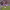 https://res.cloudinary.com/billionhands/image/upload/v1780662071/items/vly1ra0qzi5jwe6mfshw.jpg-0cover