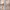 https://res.cloudinary.com/billionhands/image/upload/v1780662130/items/od78x0o8hv0nokvjldlx.png-1cover