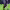 https://res.cloudinary.com/billionhands/image/upload/v1780663130/items/pzogrvhkja3hk91gdbfl.jpg-1cover