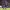 https://res.cloudinary.com/billionhands/image/upload/v1780663133/items/eozaj7vpfjzcsl0u3f77.jpg-1cover