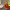 https://res.cloudinary.com/billionhands/image/upload/v1780663248/items/mhcw1upwd3oydaimzyri.webp-2cover