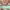 https://res.cloudinary.com/billionhands/image/upload/v1780663746/items/jozhiuhumgcqwt1ttaod.png-0cover