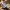 https://res.cloudinary.com/billionhands/image/upload/v1780664506/items/as9hqgjyrwnkvz7ailrz.avif-1cover